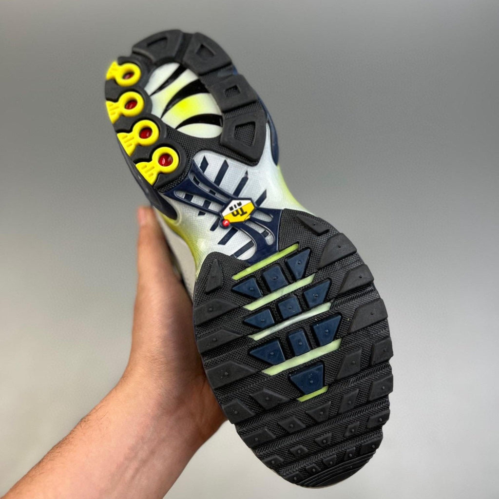 Air Max Plus TN Metallic Silver