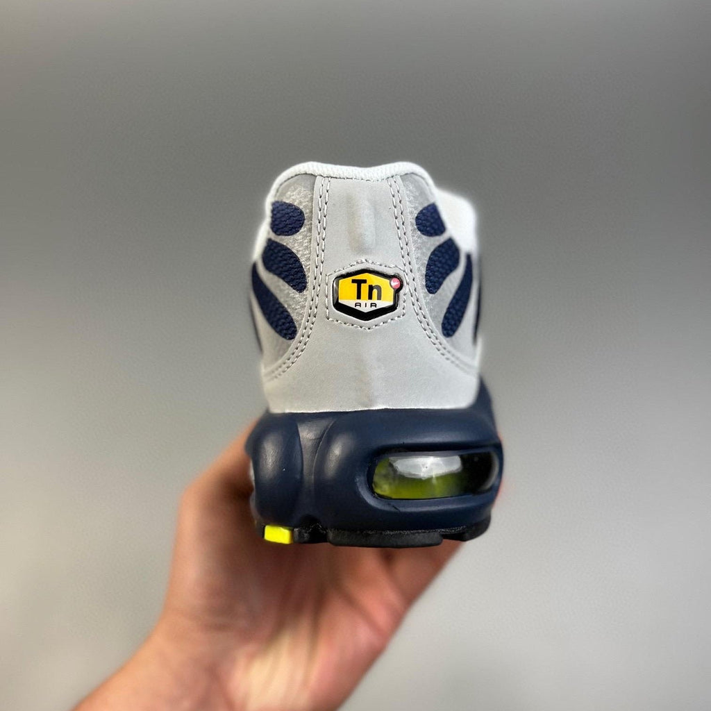 Air Max Plus TN Metallic Silver