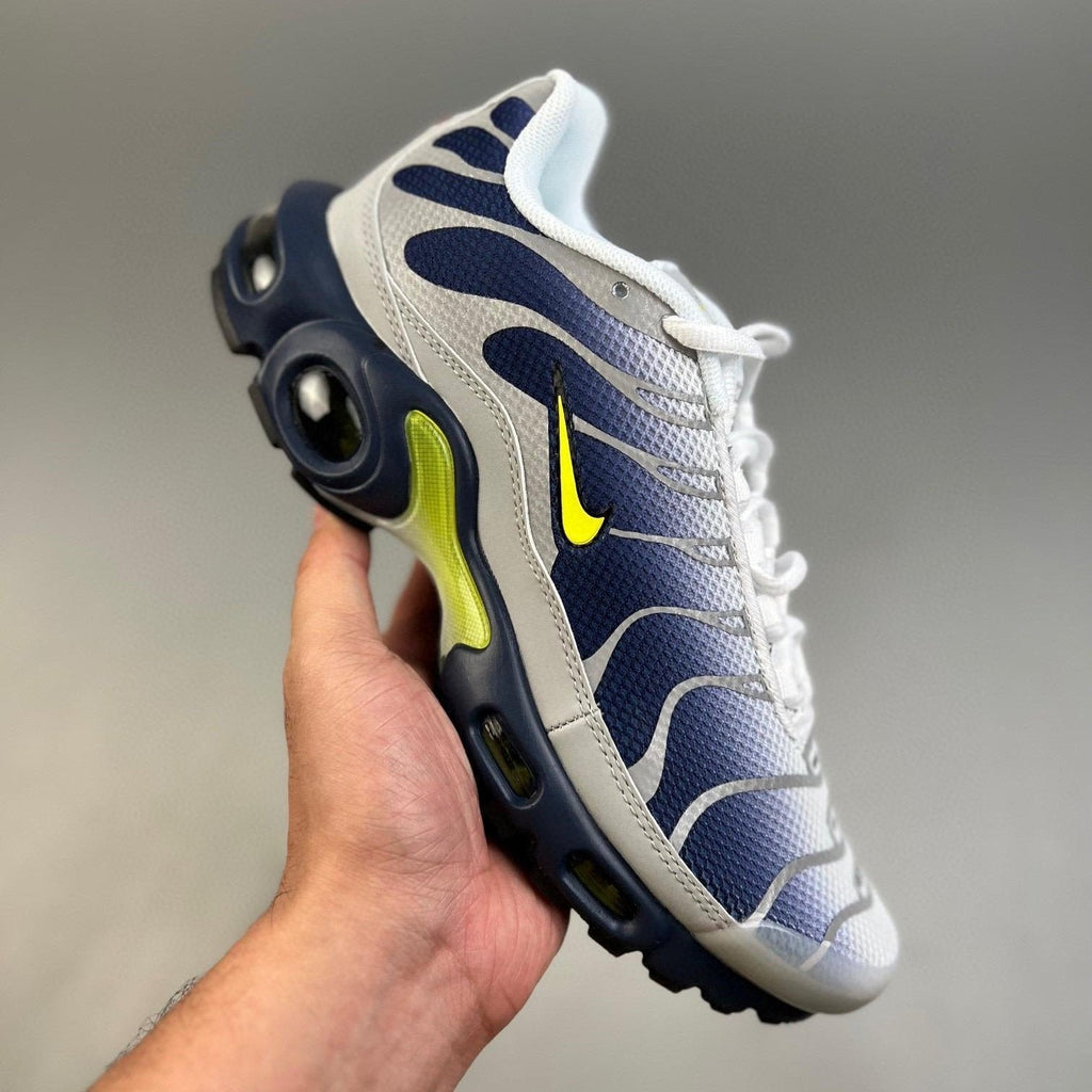 Air Max Plus TN Metallic Silver