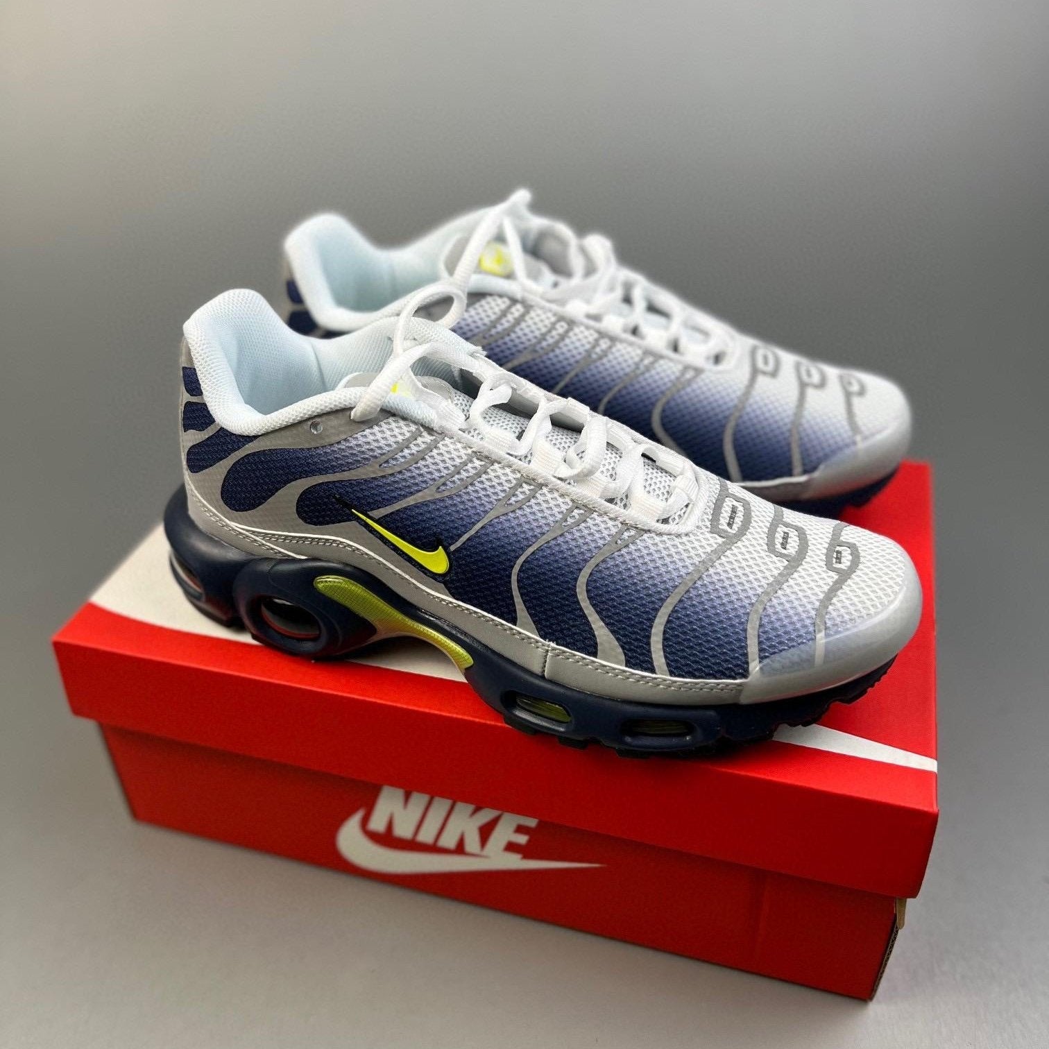 Air Max Plus TN Metallic Silver