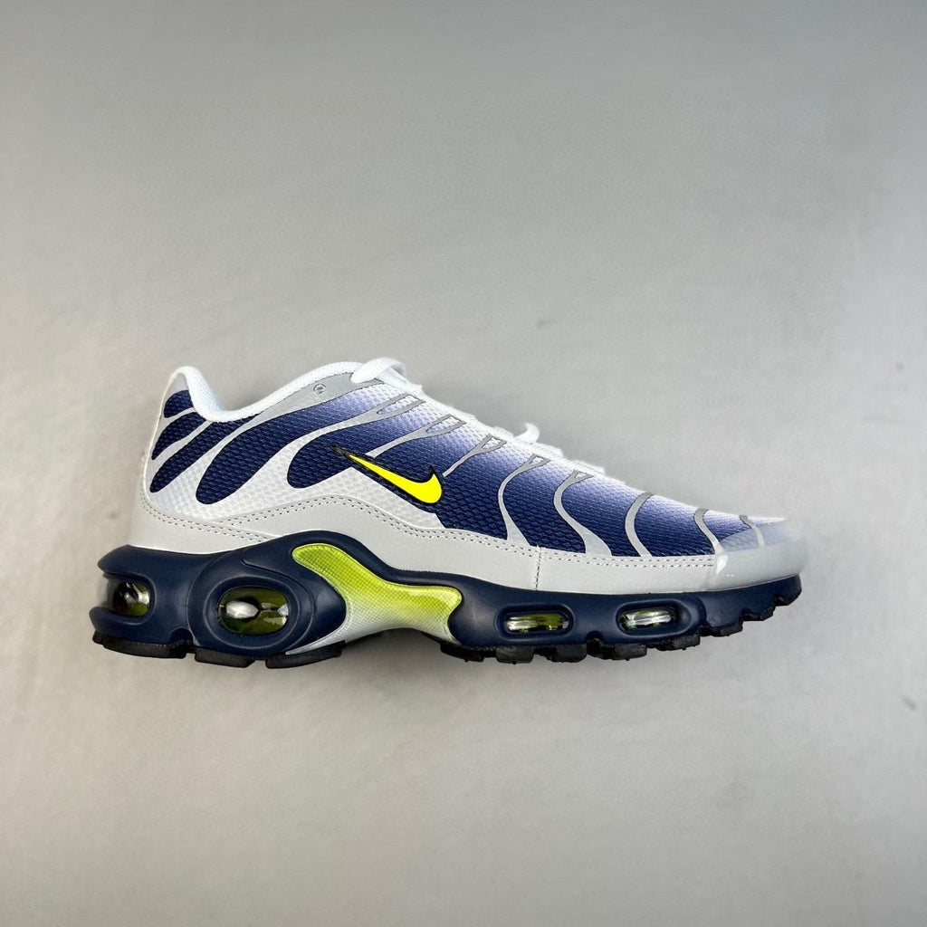 Air Max Plus TN Metallic Silver