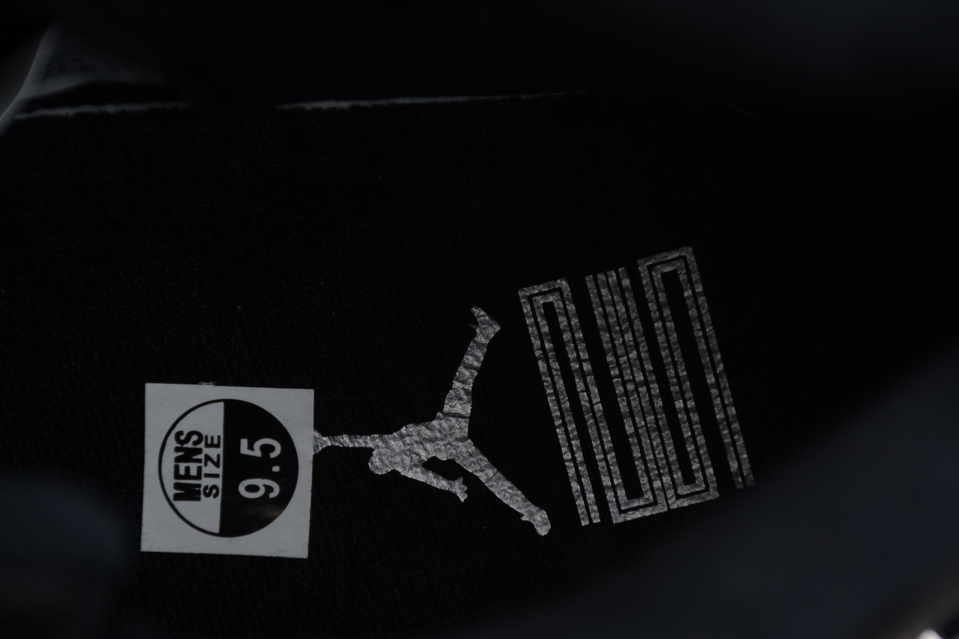 Air Jordan 11 Jubilee